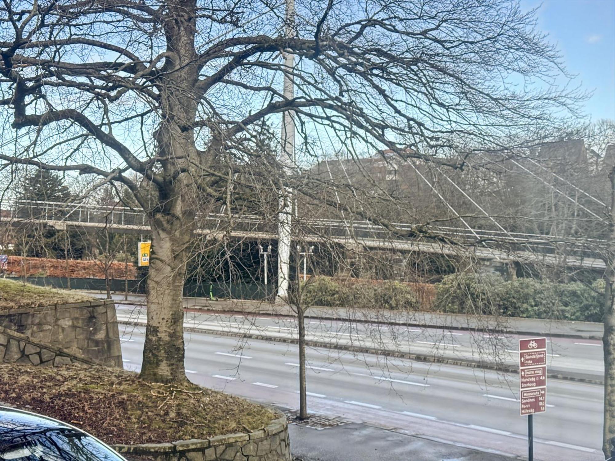 Nicolas Nr6 4 * Stavanger